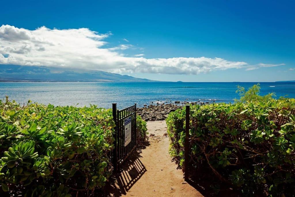 Wailuku Stunning Maui Direct Ocean Front On The Beach, Walk To Beach From Condo, Watch Turtles, Whales, Ac In All Rooms Ocean View Pool And Spa מראה חיצוני תמונה